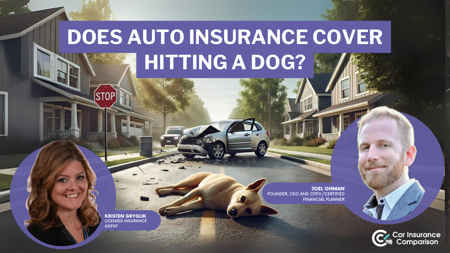 Does car insurance cover hitting a dog?