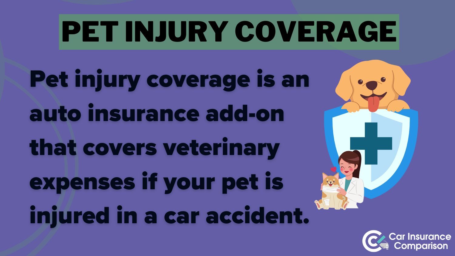 pet injury definition card: 21st century car insurance review