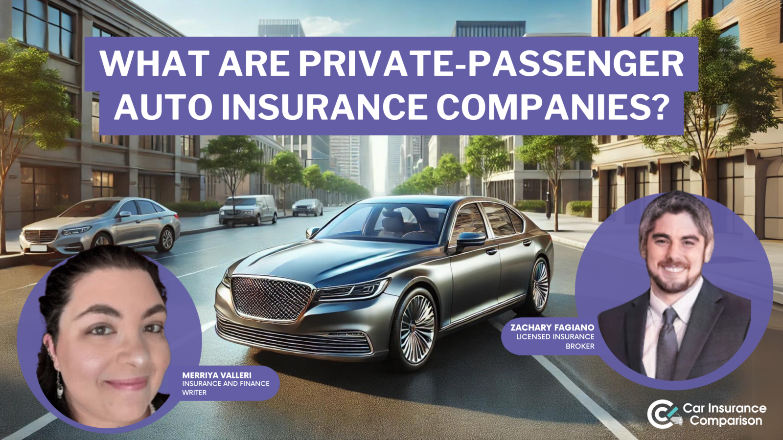 what are private-passenger auto insurance companies?