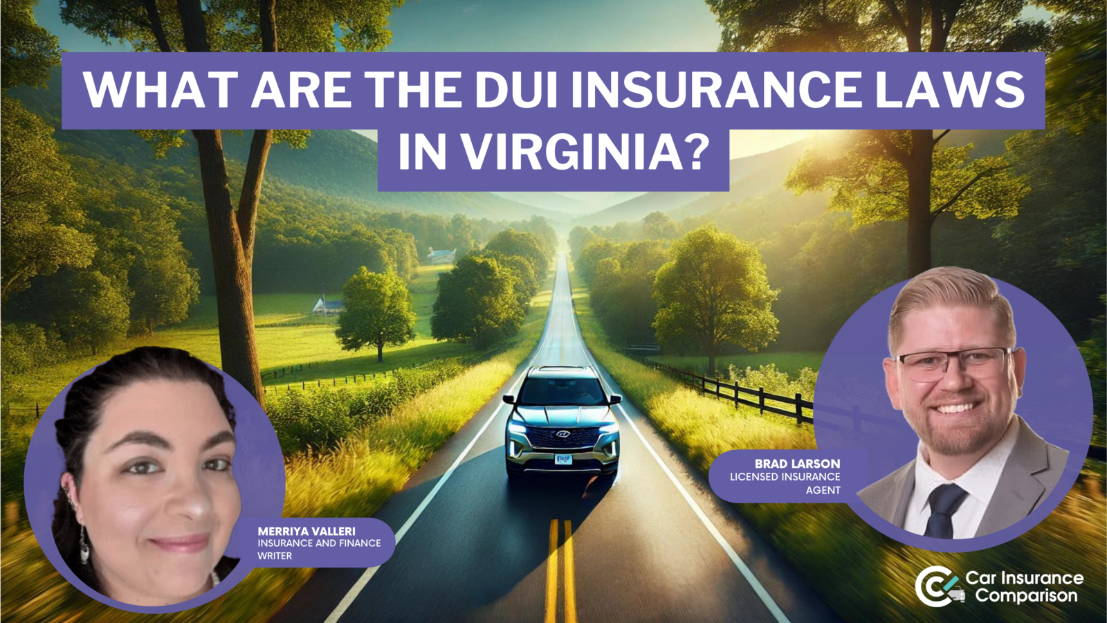 what are the DUI insurance laws in Virginia?