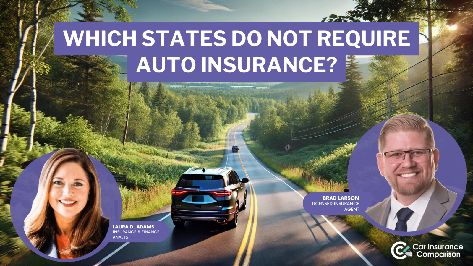 which states do not require auto insurance?