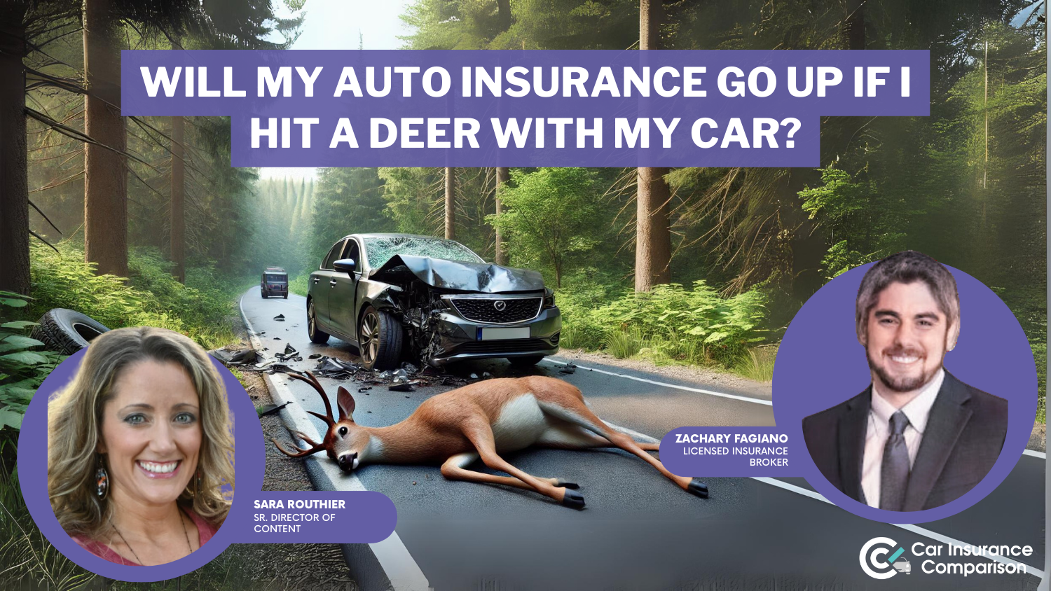 Will my car insurance go up if I hit a deer with my car?